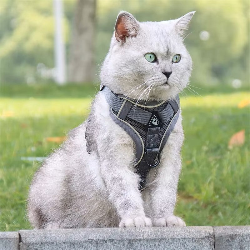 Pet Army Harness Set