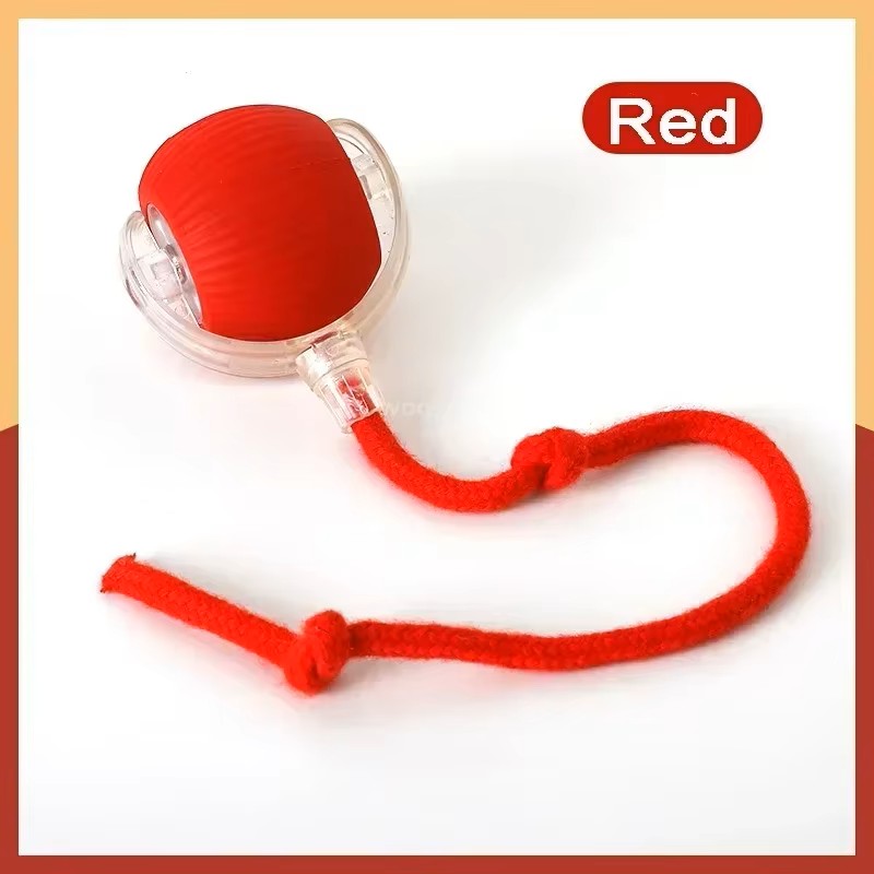 Smart Interactive Cat Chase Toy