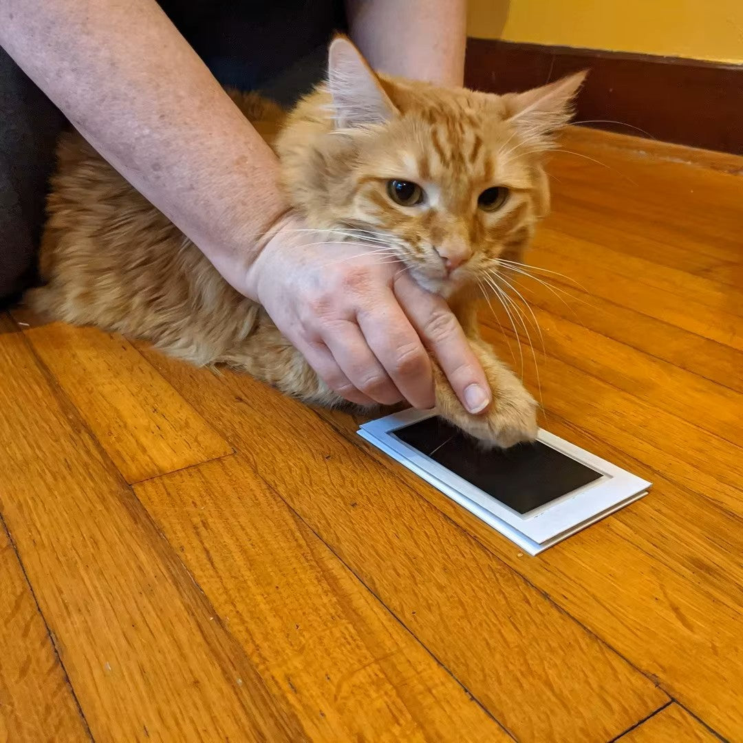 EternalPaw Memory Ink Pad
