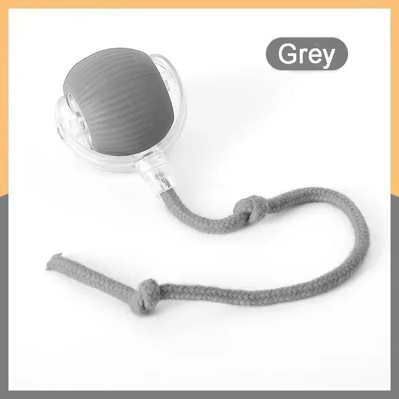 Smart Interactive Cat Chase Toy