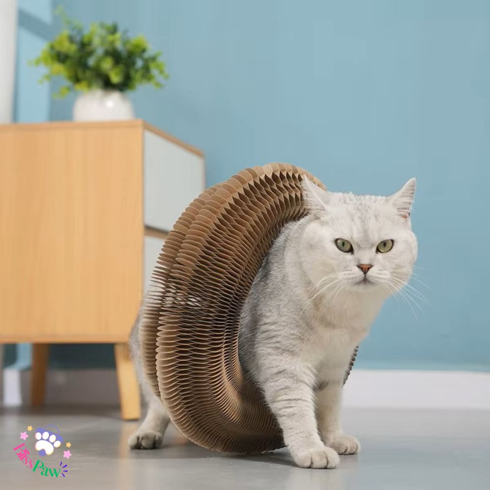 Corrugated Cat Toy Scratcher Nest