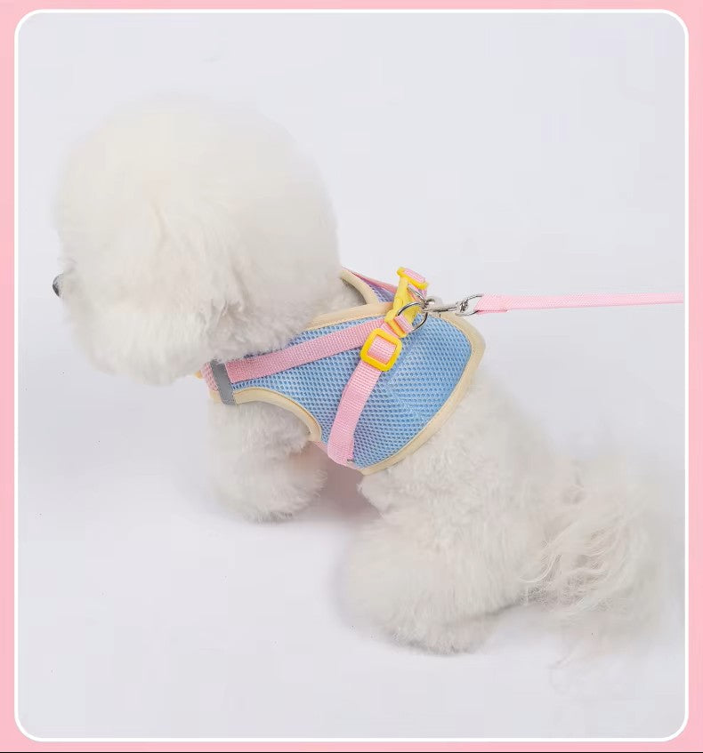 Dopamine Inspired Harness Leash Set