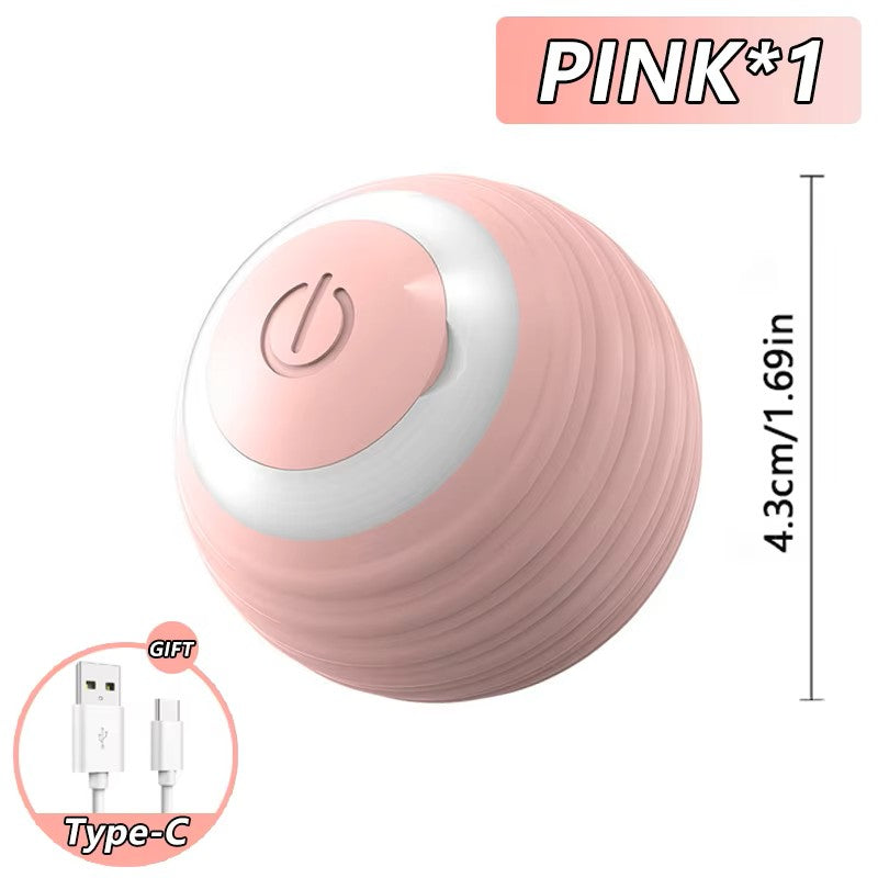 Smart Interactive Cat Chase Toy