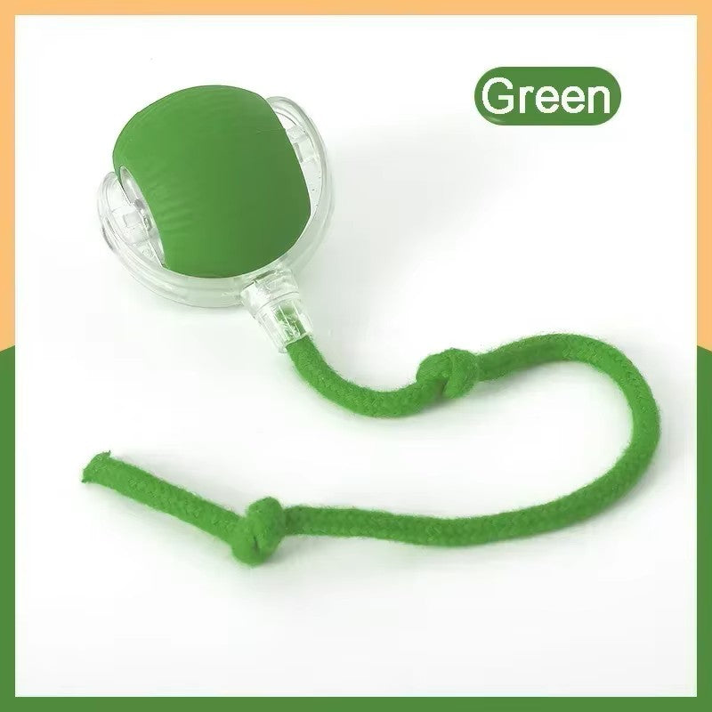 Smart Interactive Cat Chase Toy
