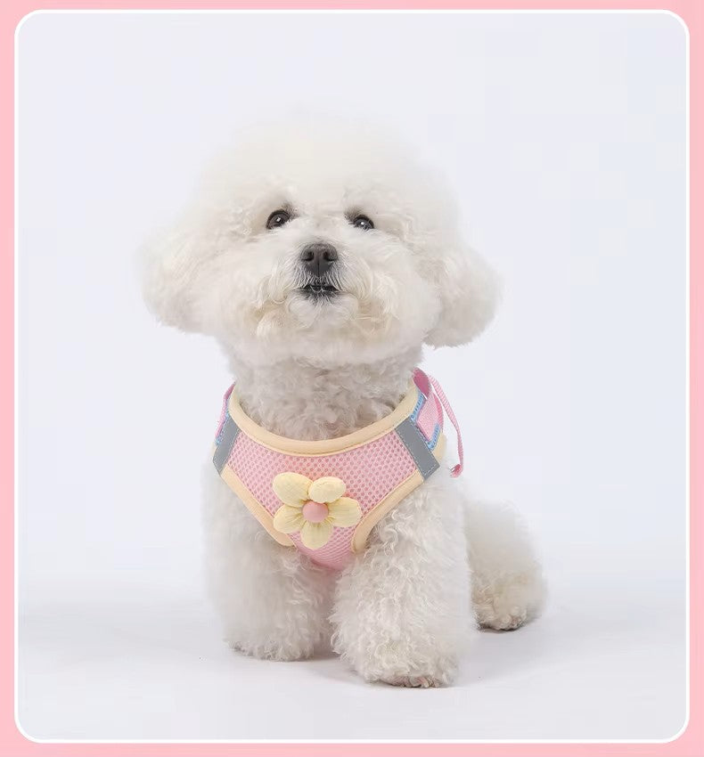 Dopamine Inspired Harness Leash Set