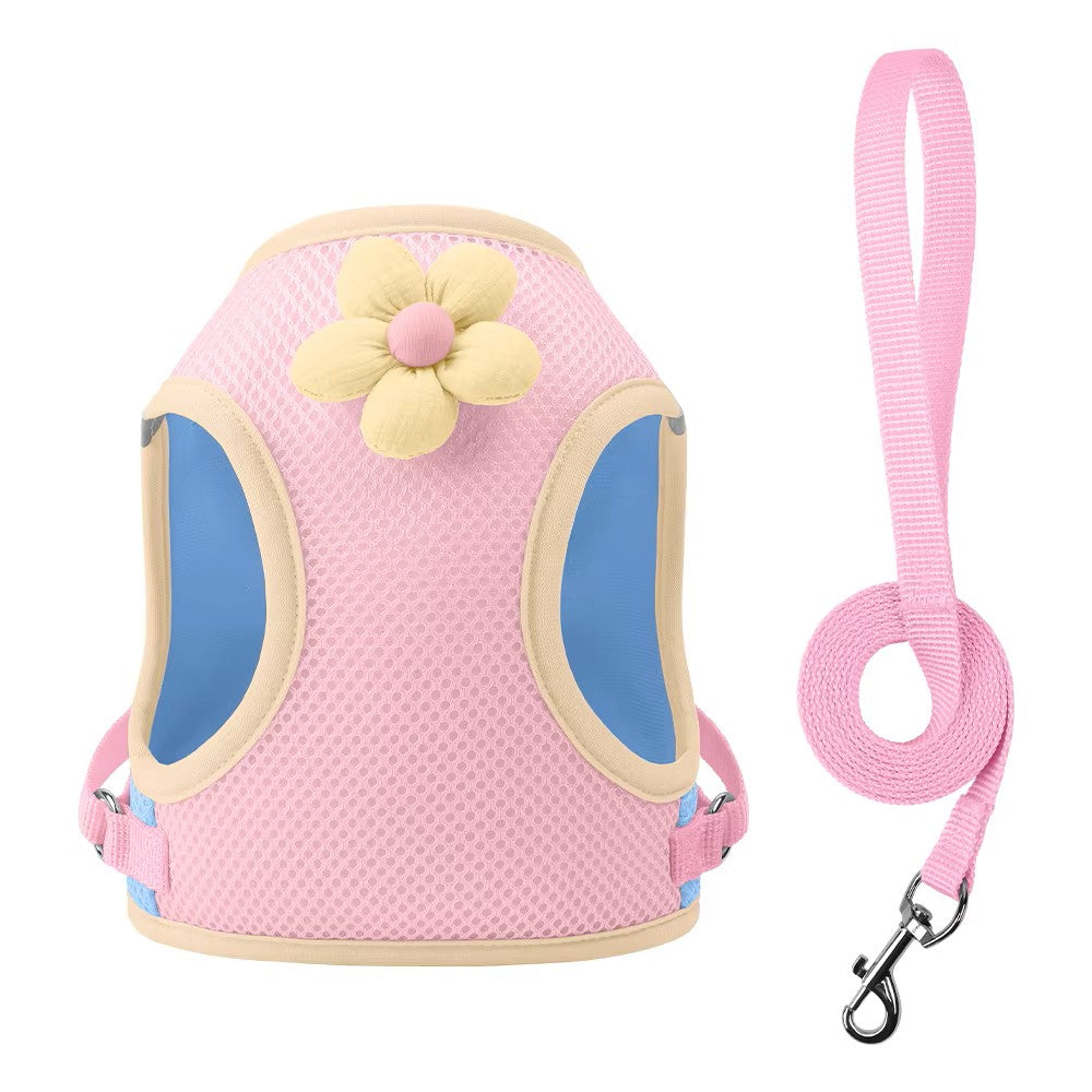 Dopamine Inspired Harness Leash Set