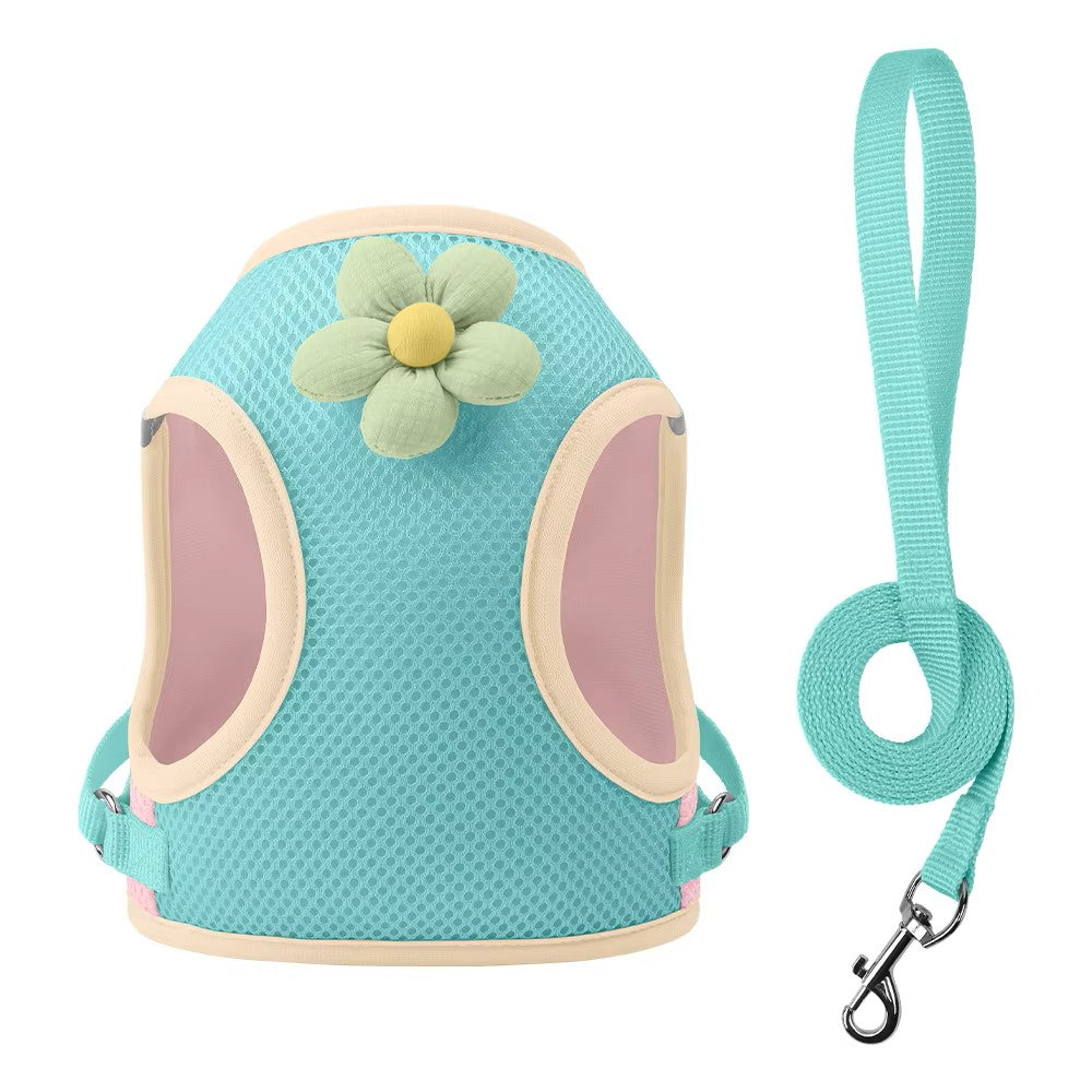 Dopamine Inspired Harness Leash Set