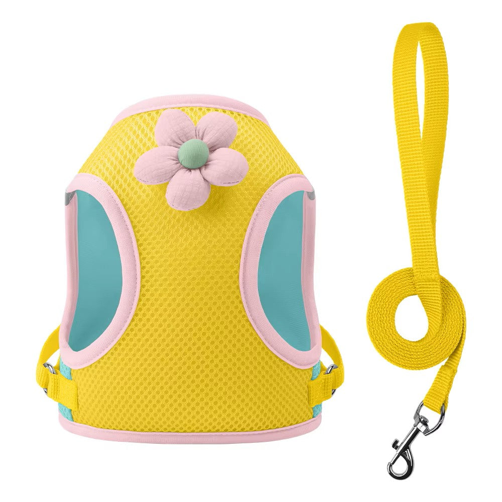 Dopamine Inspired Harness Leash Set