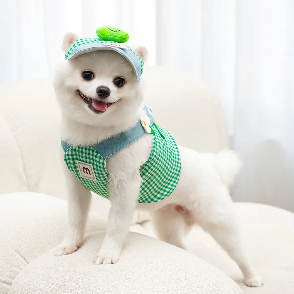 ChicPet Summer Dress Leash Set