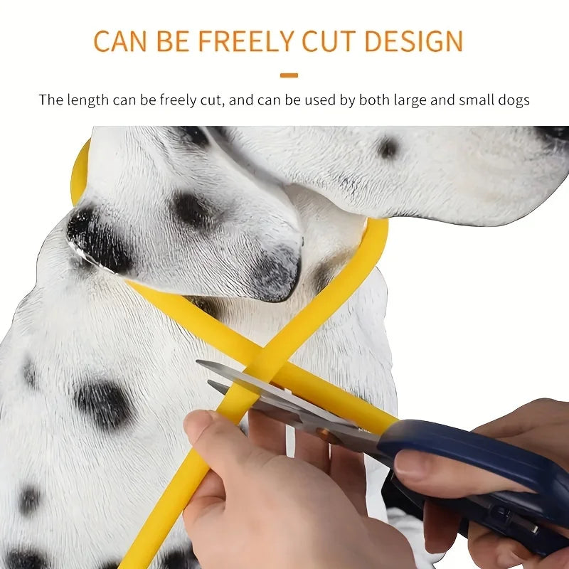 LED Collar Pet LightSafe