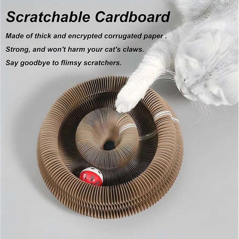 PawWhirl Magic Cat Scratcher
