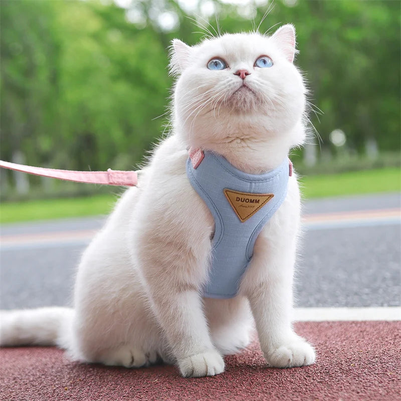 Soft Padded Cat & Small Dog Harness