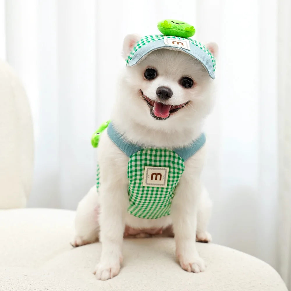 ChicPet Summer Dress Leash Set
