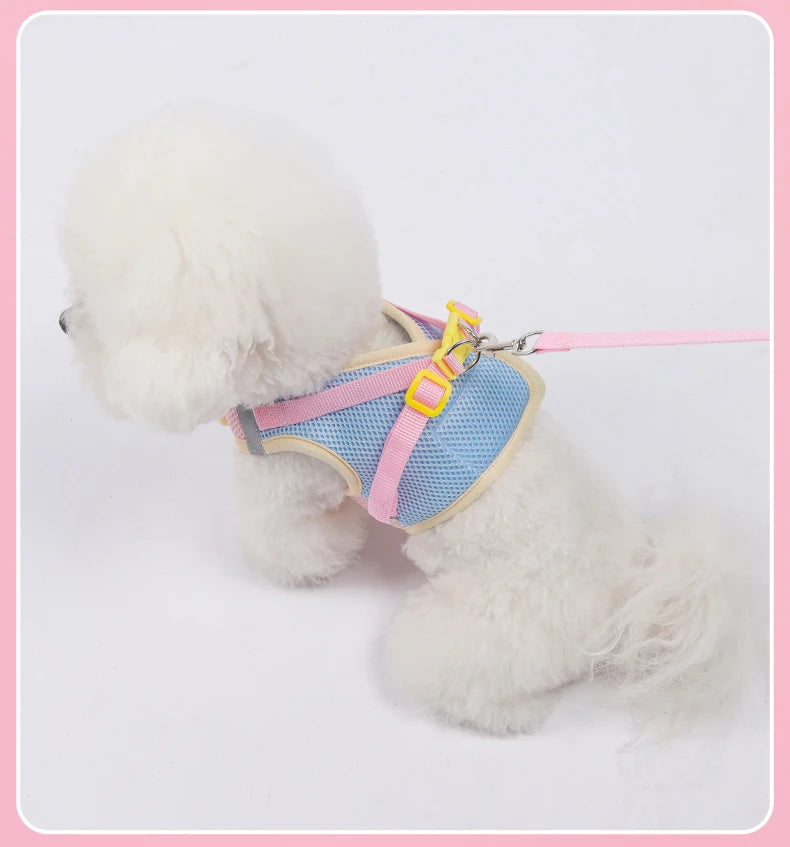 Dopamine Inspired Harness Leash Set
