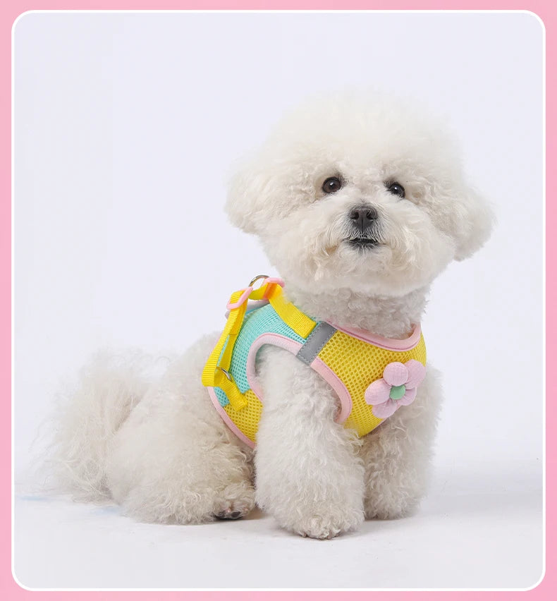 Dopamine Inspired Harness Leash Set