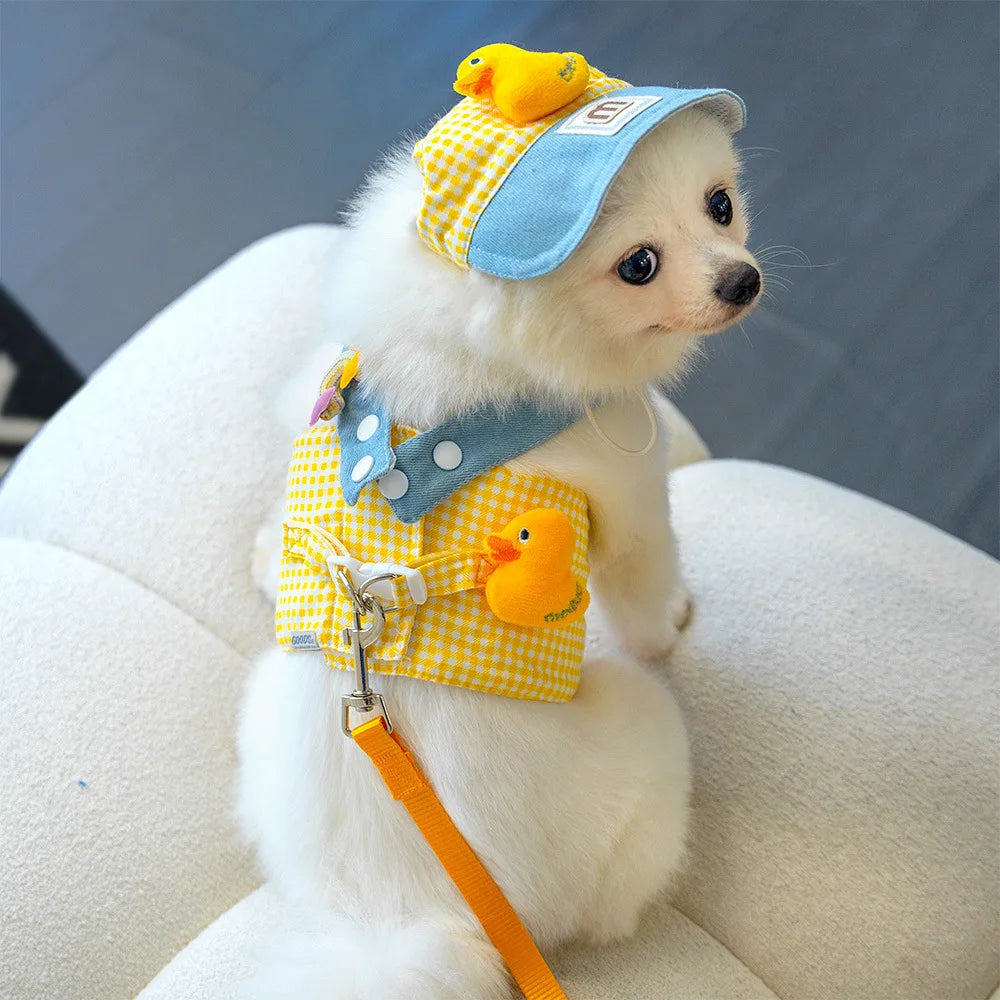 ChicPet Summer Dress Leash Set