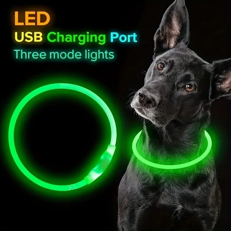 LED Collar Pet LightSafe