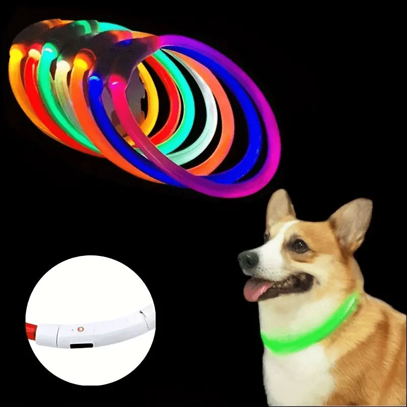 LED Collar Pet LightSafe