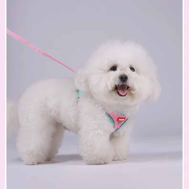 Puppy Safe Harness Vest