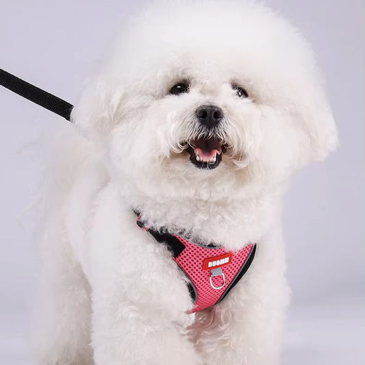 Puppy Safe Harness Vest