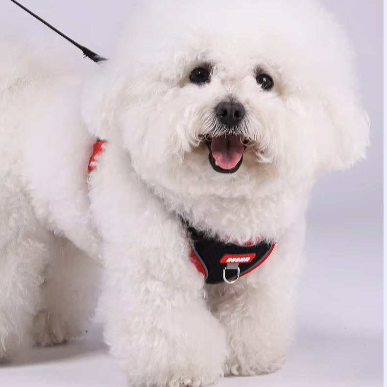 Puppy Safe Harness Vest