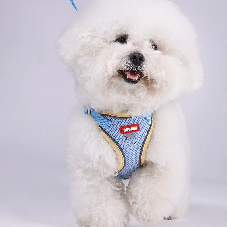 Puppy Safe Harness Vest