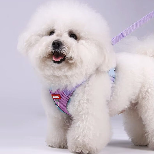 Puppy Safe Harness Vest