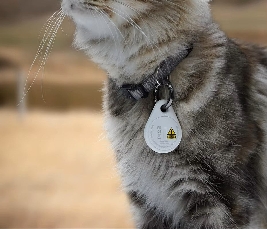 PawTag Smart Tracker