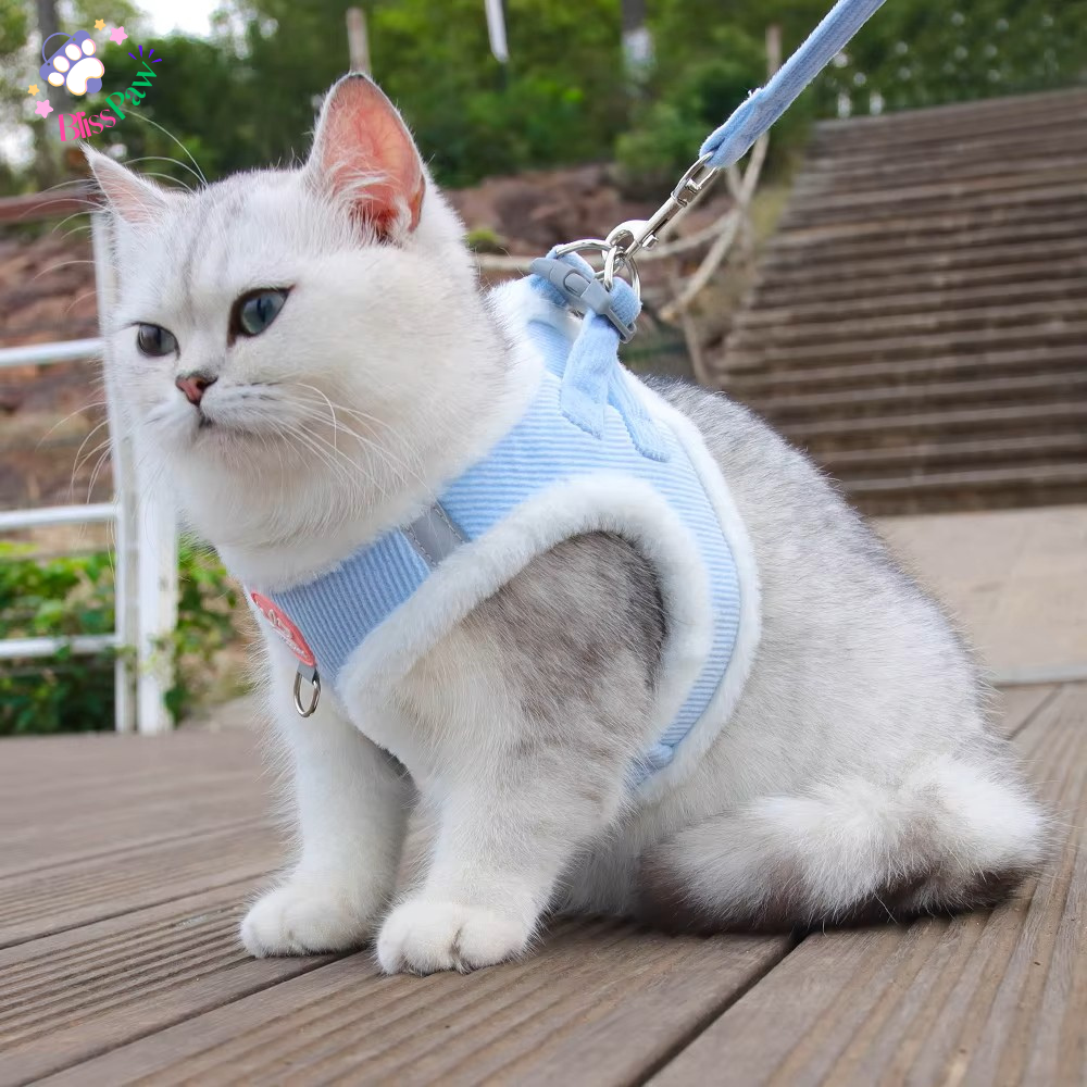 Winter Fur Pet Harness Set