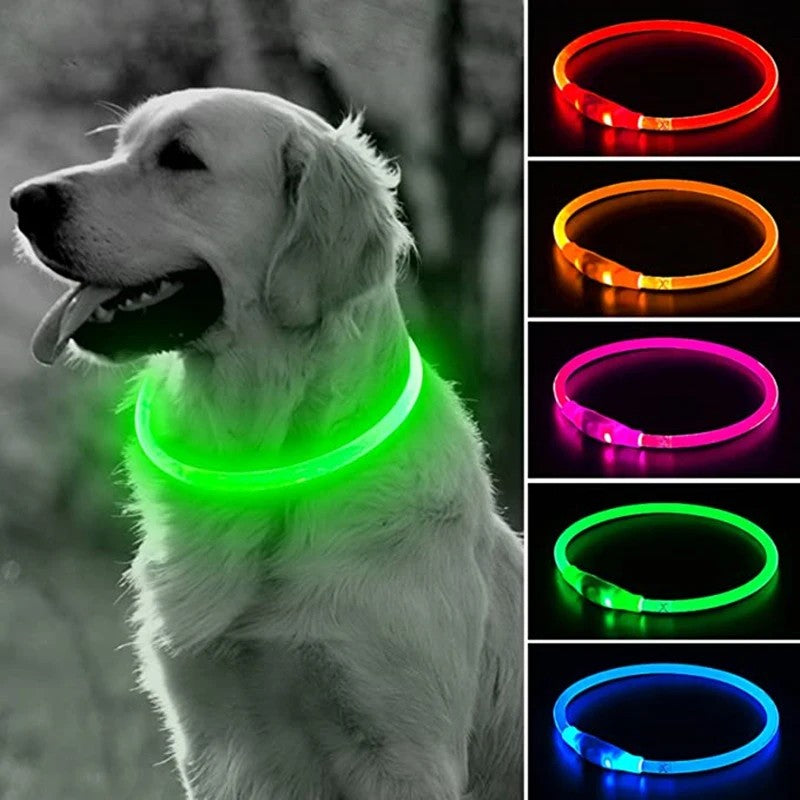 LED Pet Guard Collar