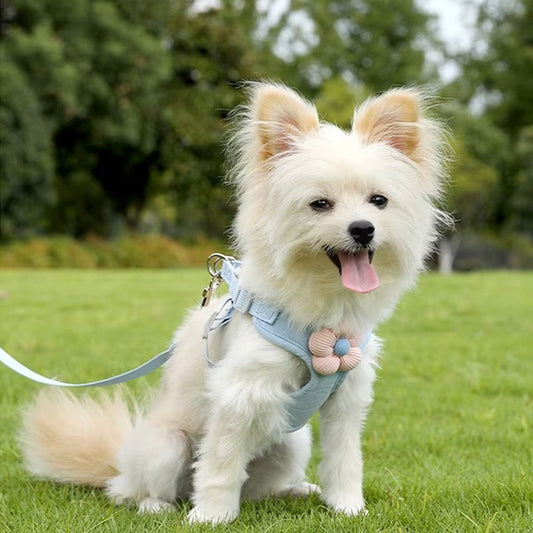 Pet Angel Flower Harness