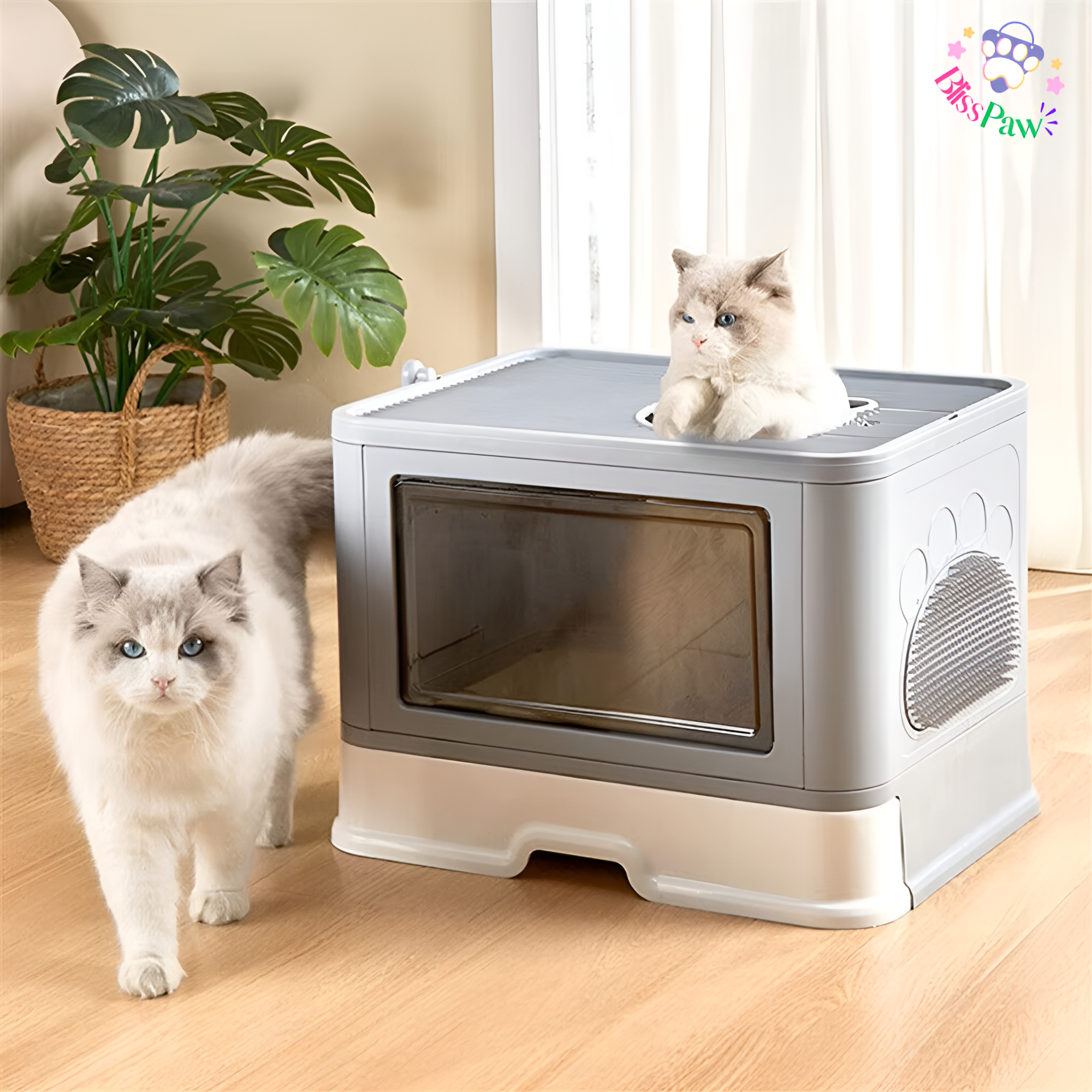 Premium Enclosed Cat Litter Box