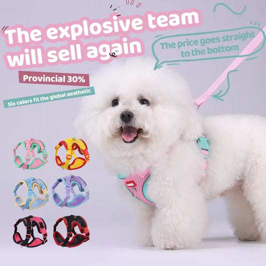 Puppy Safe Harness Vest