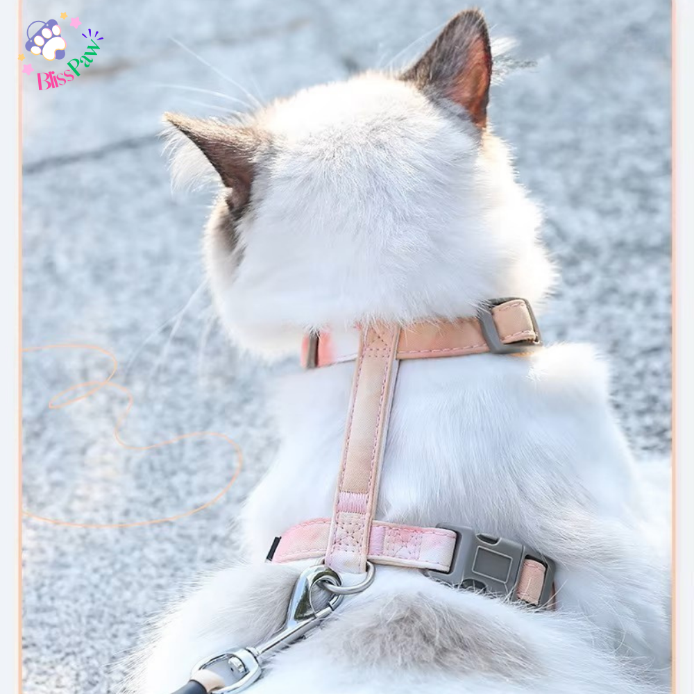 Escape-Proof Cat Harness Set