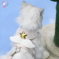 Pet AngelWing Harness Set