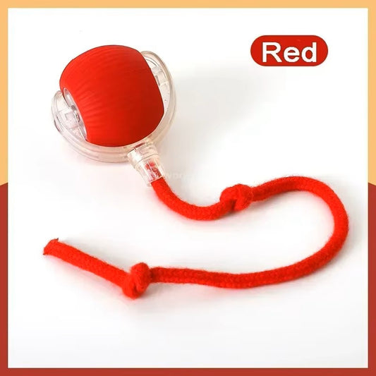 Smart Interactive Cat Chase Toy