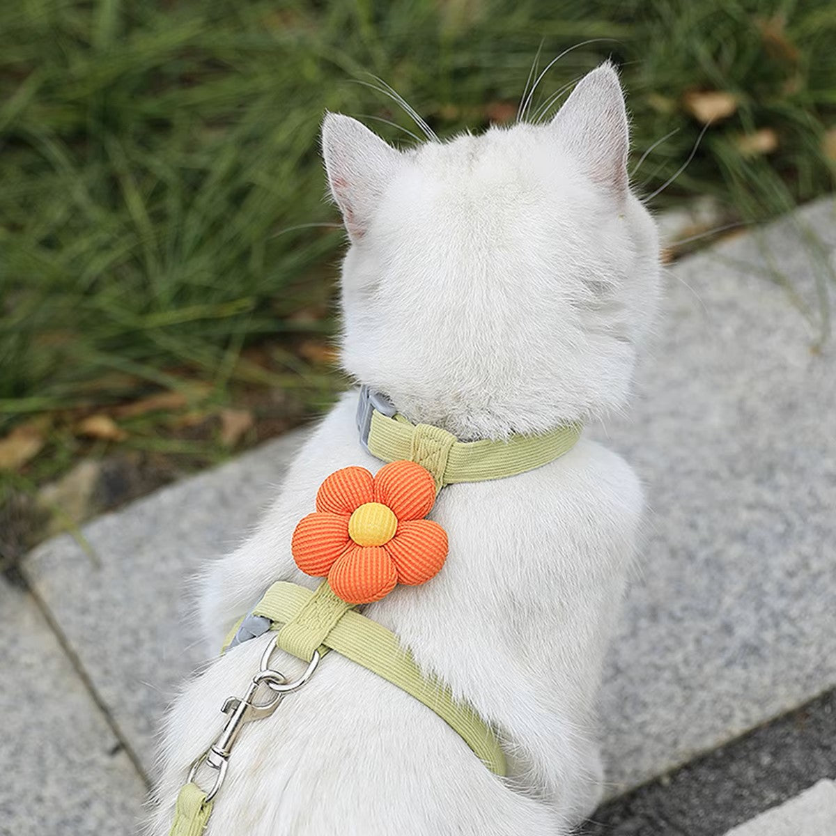 Comfort Fit Cat Harness Leash Set