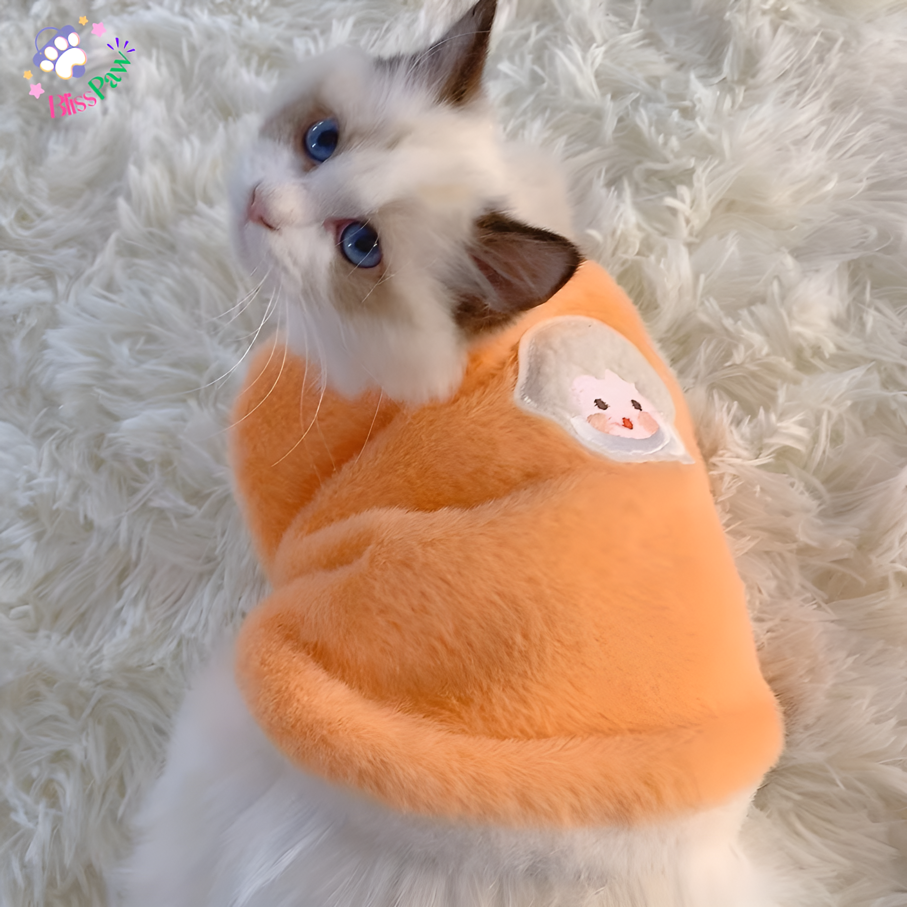 Fashionable Cat Sweater Vest