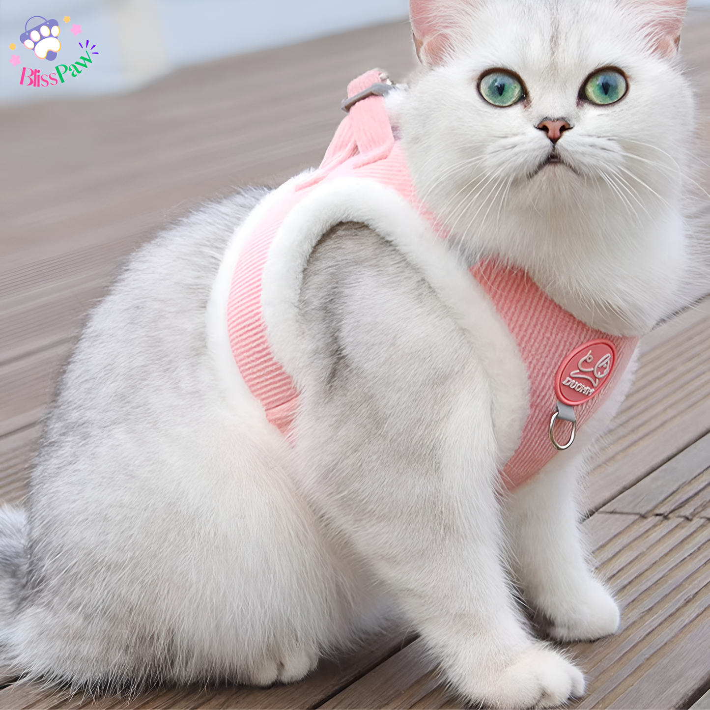 Winter Fur Pet Harness Set