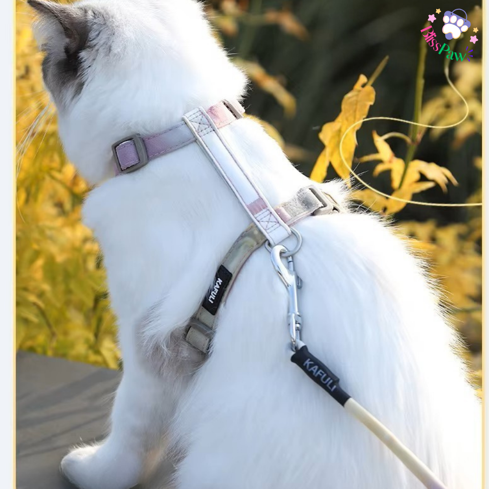Escape-Proof Cat Harness Set