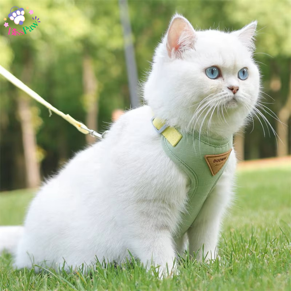 Soft Padded Cat And Small Dog Harness