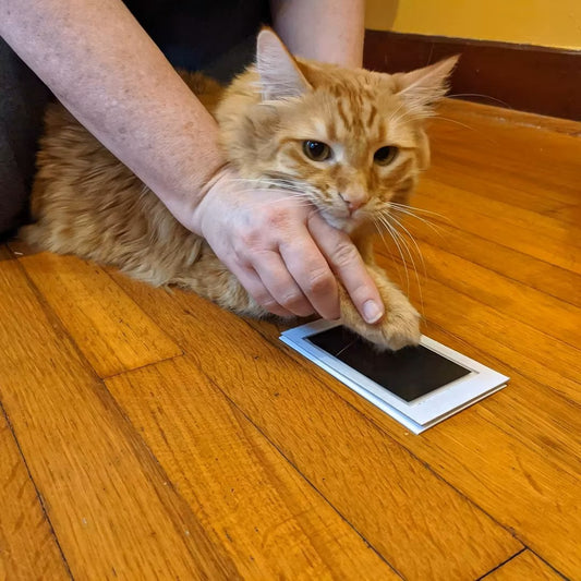 EternalPaw Memory Ink Pad