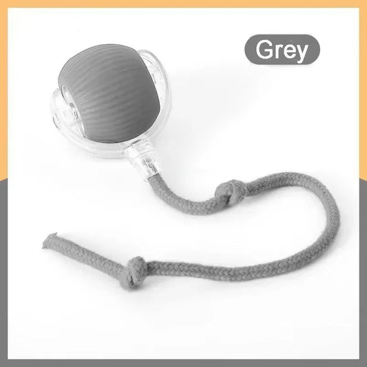Smart Interactive Cat Chase Toy