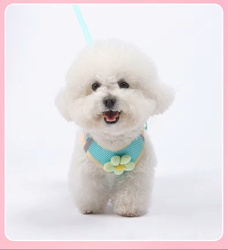 Dopamine Inspired Harness Leash Set