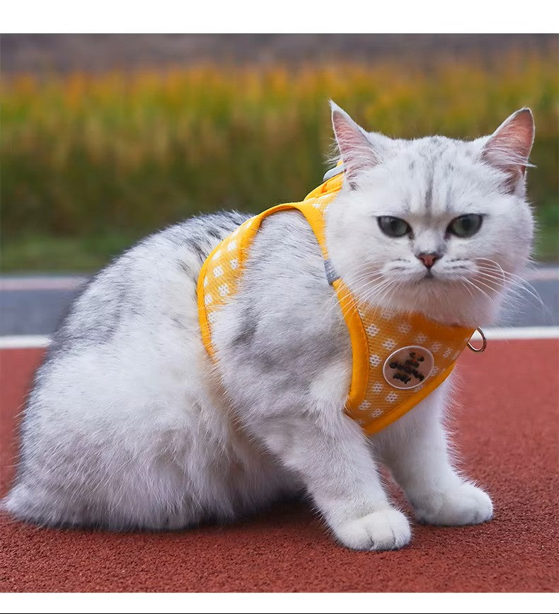 PawSecure Reflective Harness Set