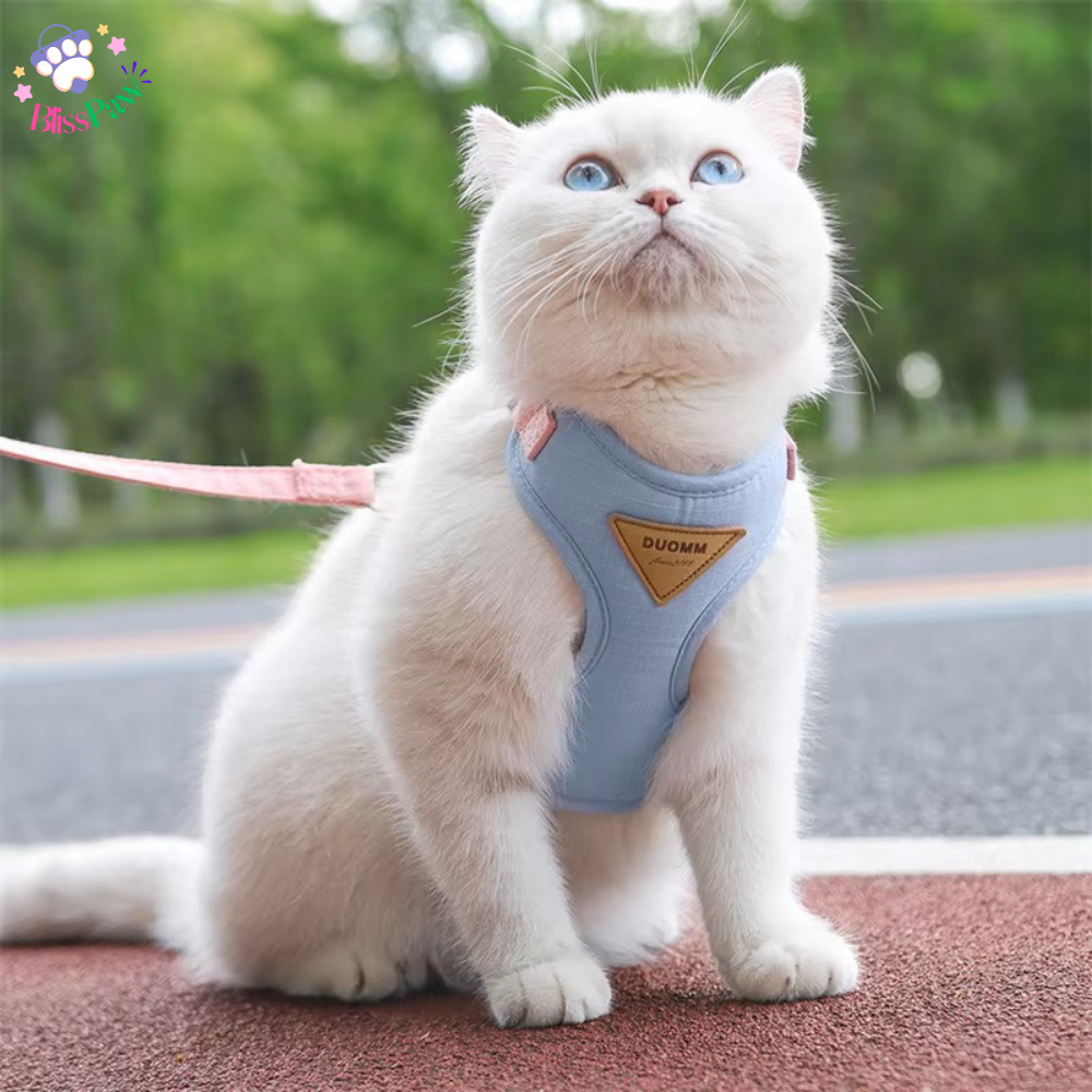 Soft Padded Cat And Small Dog Harness