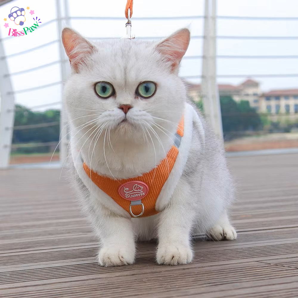 Winter Fur Pet Harness Set