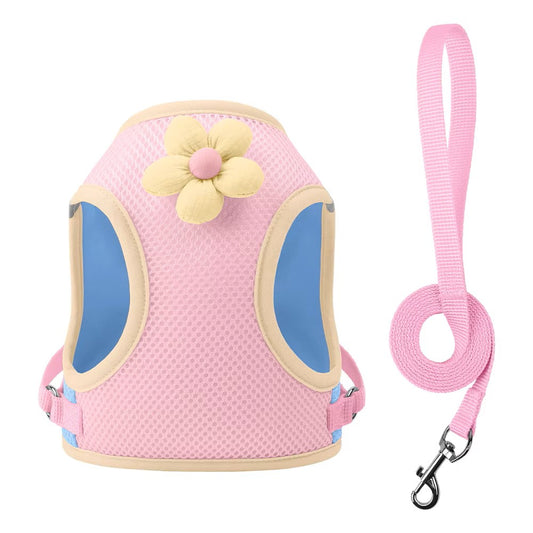 Dopamine Inspired Harness Leash Set