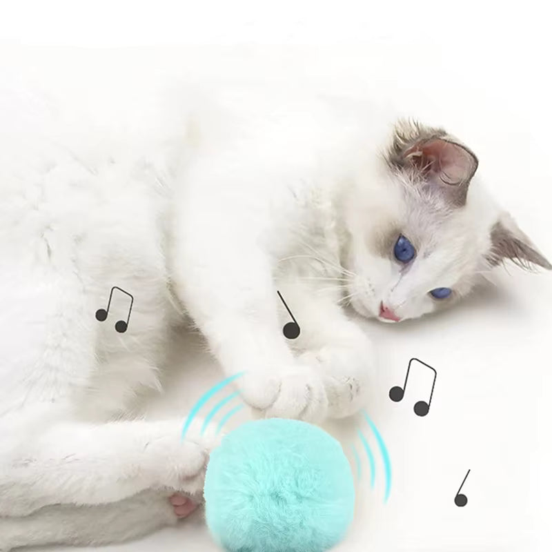 Interactive Sound Cat Ball