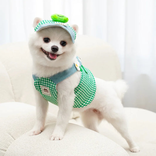ChicPet Summer Dress Leash Set